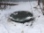 Станция ТОПОЛЬ 4 в Ижевске